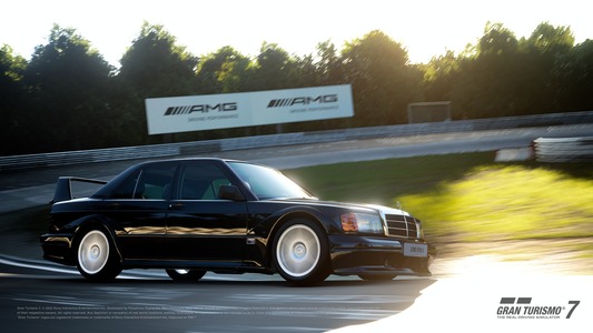 Mercedes-Benz 190 E 2.5-16 Evolution II '91